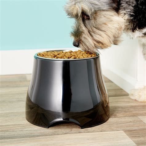 best dog bowls for safety.